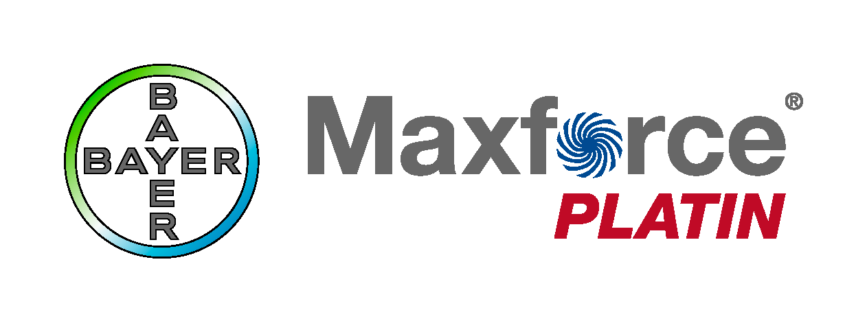 Maxforce Platin